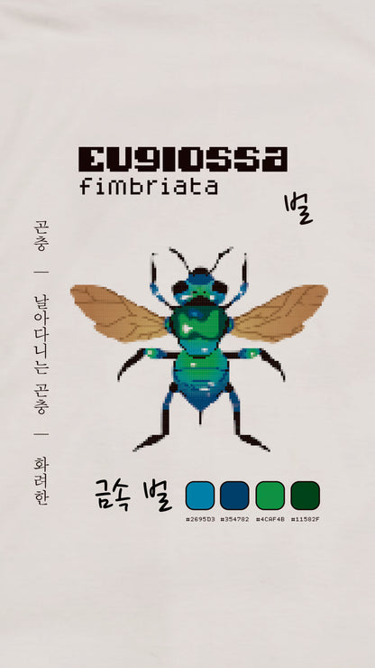 Euglossa